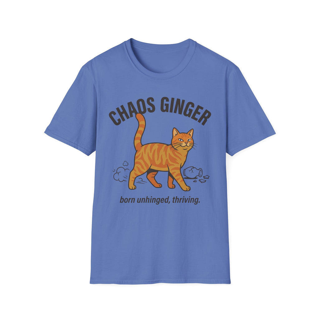 Orange Tabby - Chaos Ginger