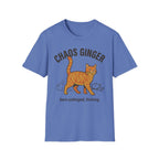 Orange Tabby - Chaos Ginger