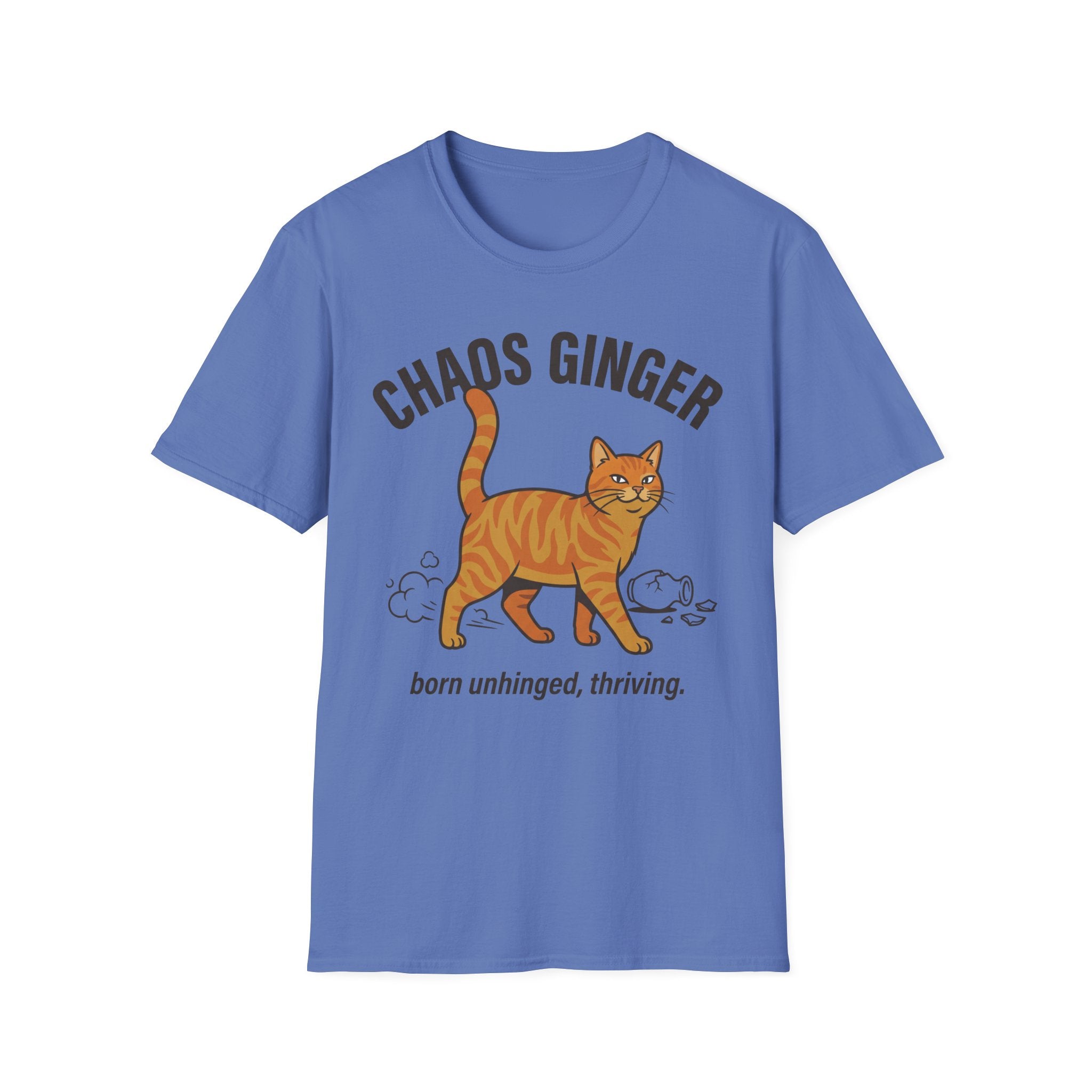 Orange Tabby - Chaos Ginger