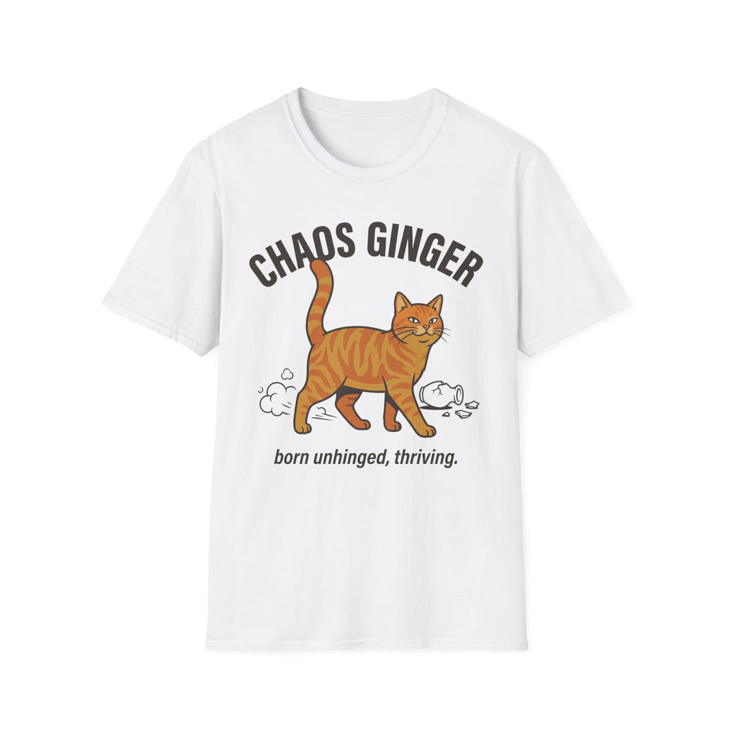 Orange Tabby - Chaos Ginger