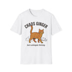 Orange Tabby - Chaos Ginger