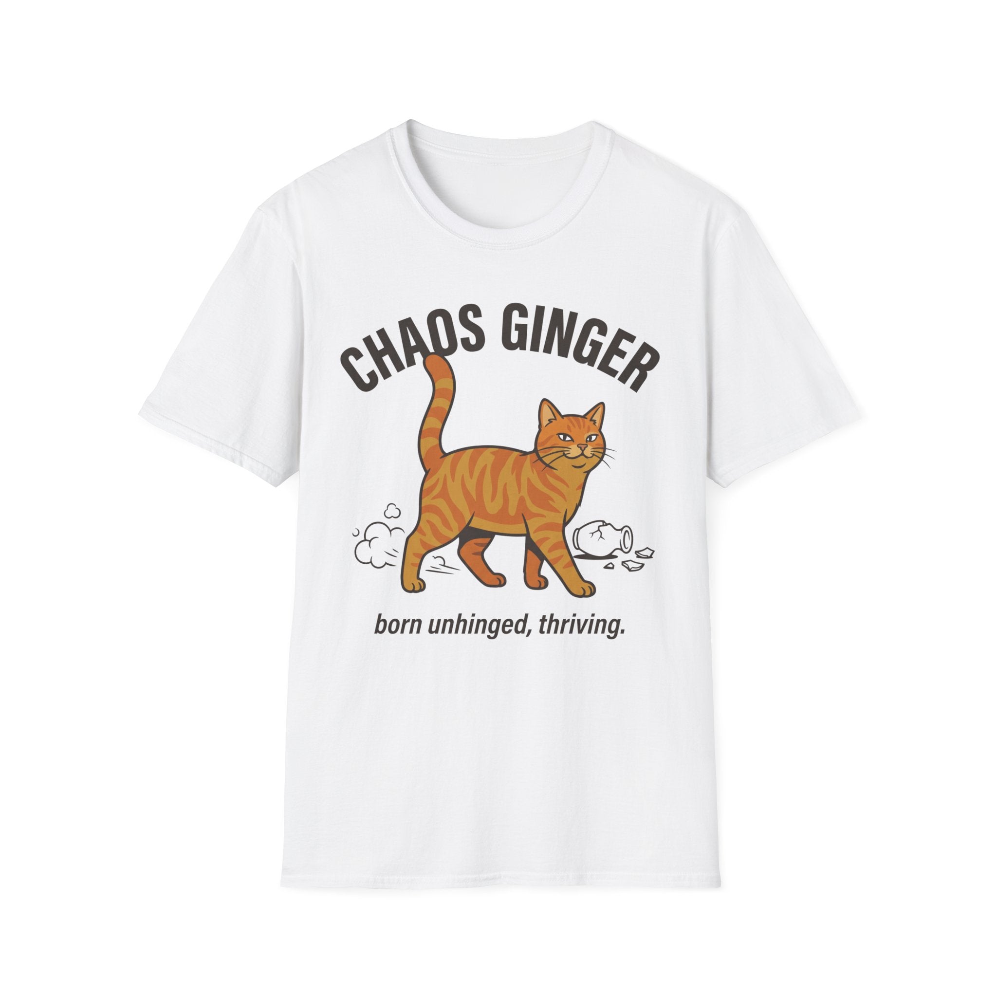 Orange Tabby - Chaos Ginger