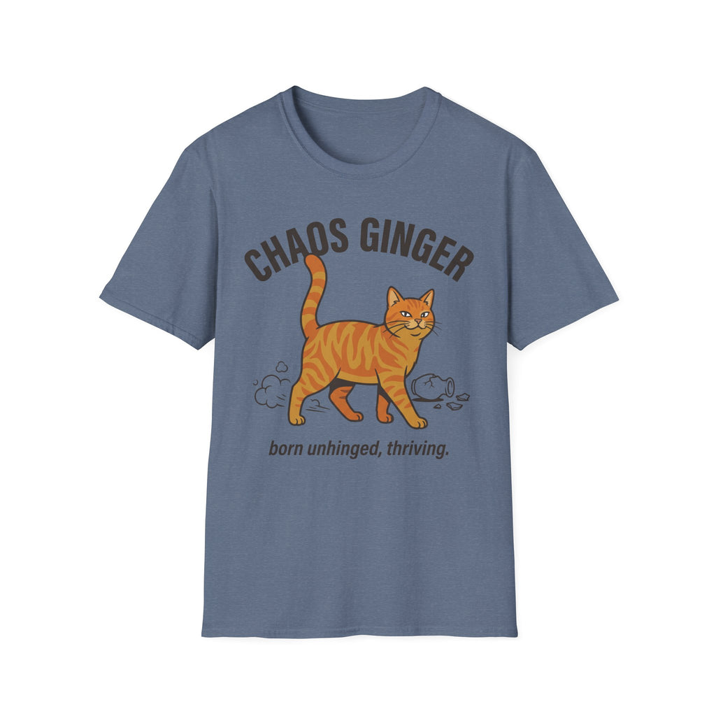 Orange Tabby - Chaos Ginger