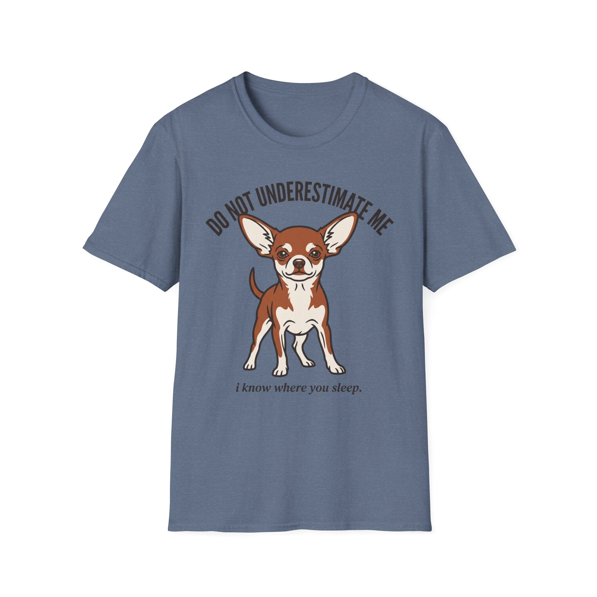 Chihuahua - Do Not Underestimate Me