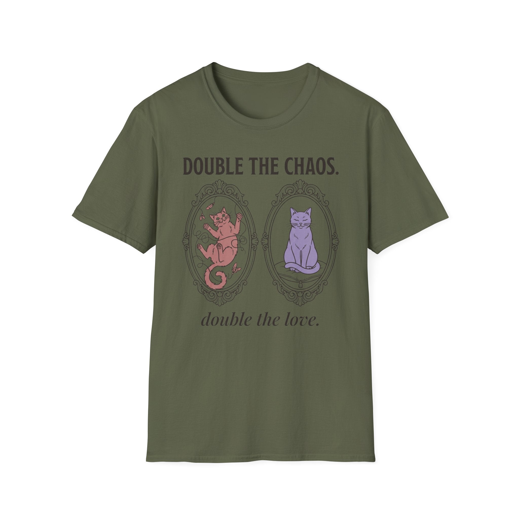 Two Cats - Double the Chaos, Double the Love