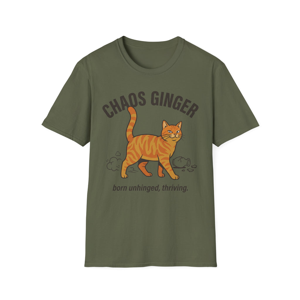 Orange Tabby - Chaos Ginger