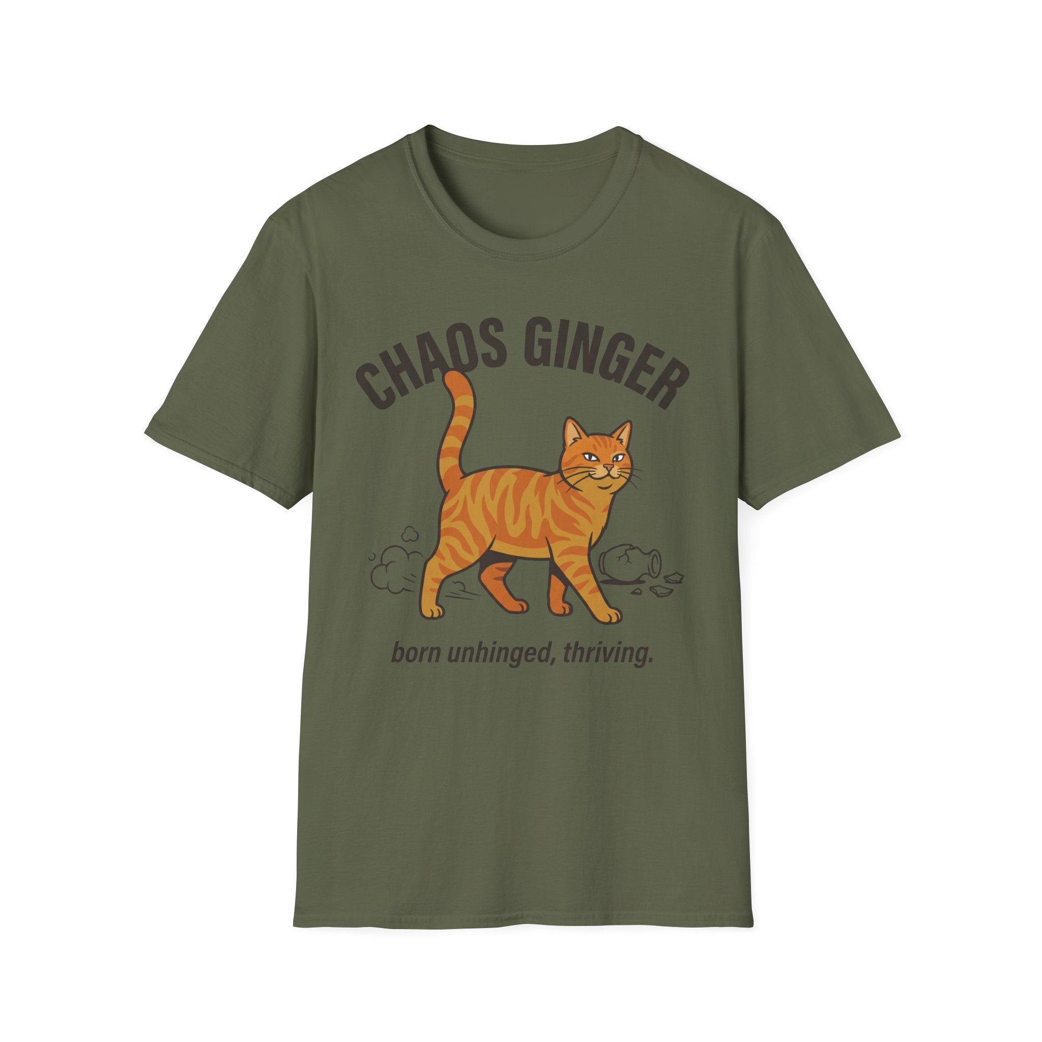 Orange Tabby - Chaos Ginger