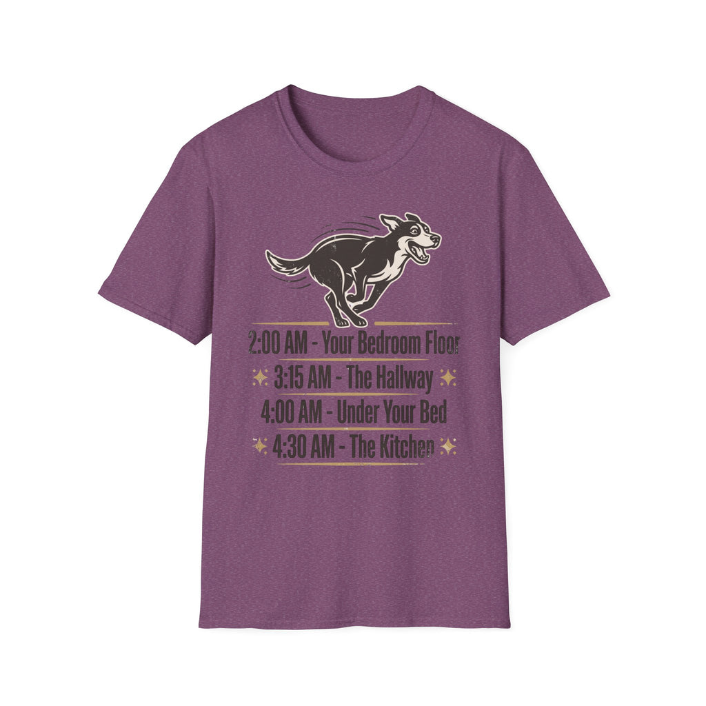 The Midnight Zoomies - World Tour (Vintage Concert Tee)