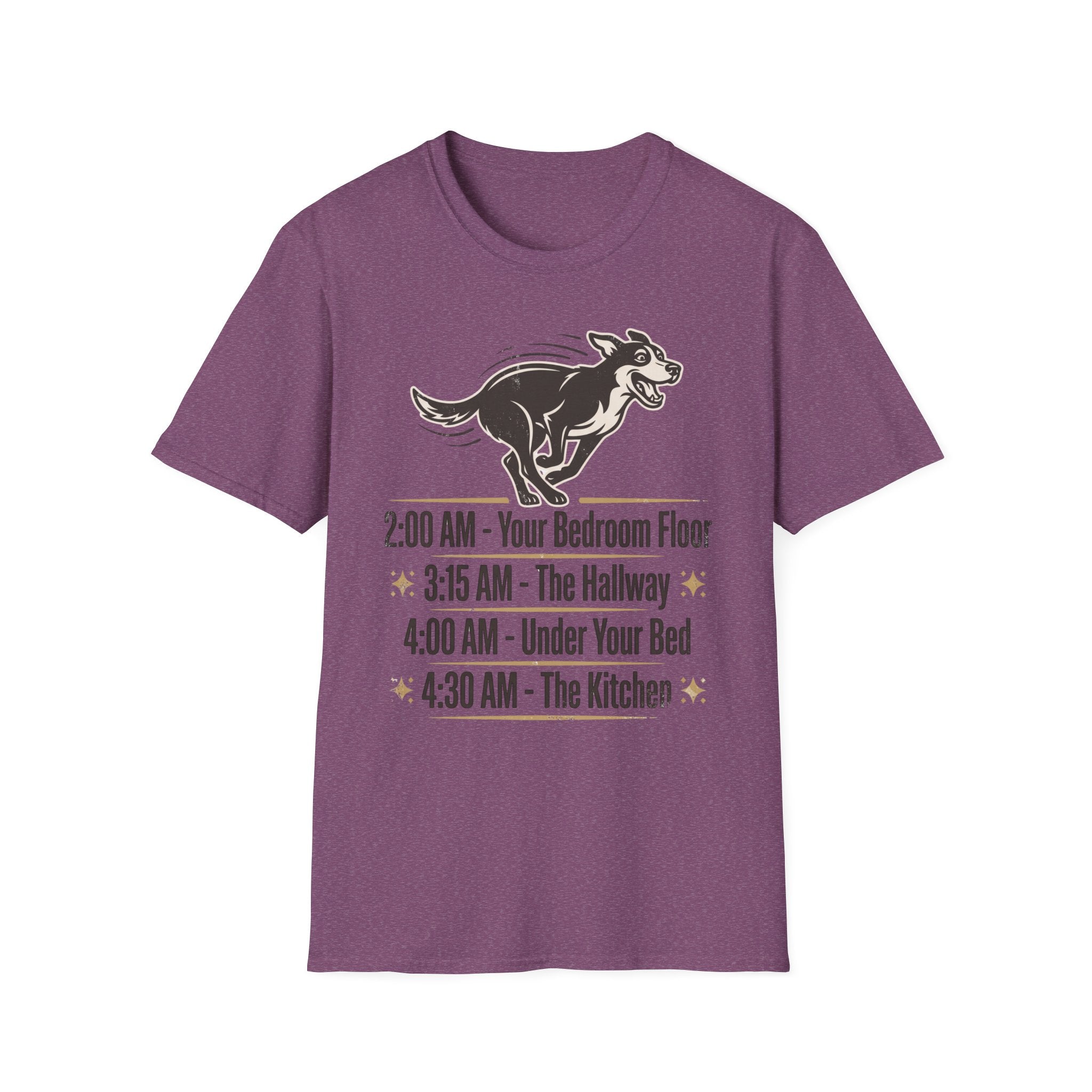 The Midnight Zoomies - World Tour (Vintage Concert Tee)