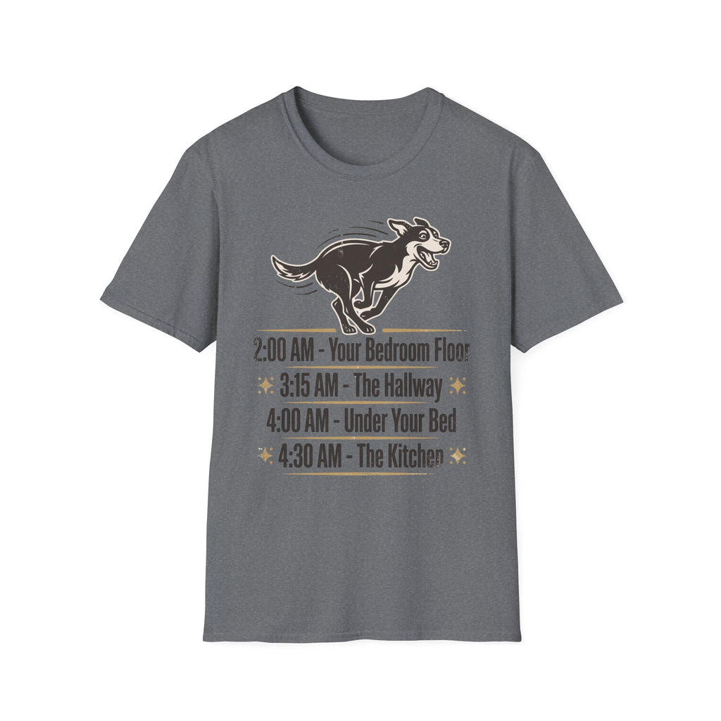 The Midnight Zoomies - World Tour (Vintage Concert Tee)