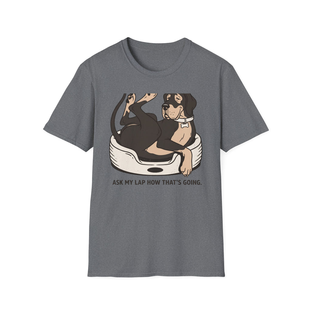 I'm A Lap Dog (Technically)