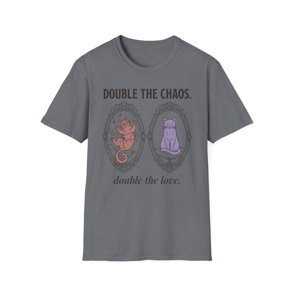 Two Cats - Double the Chaos, Double the Love