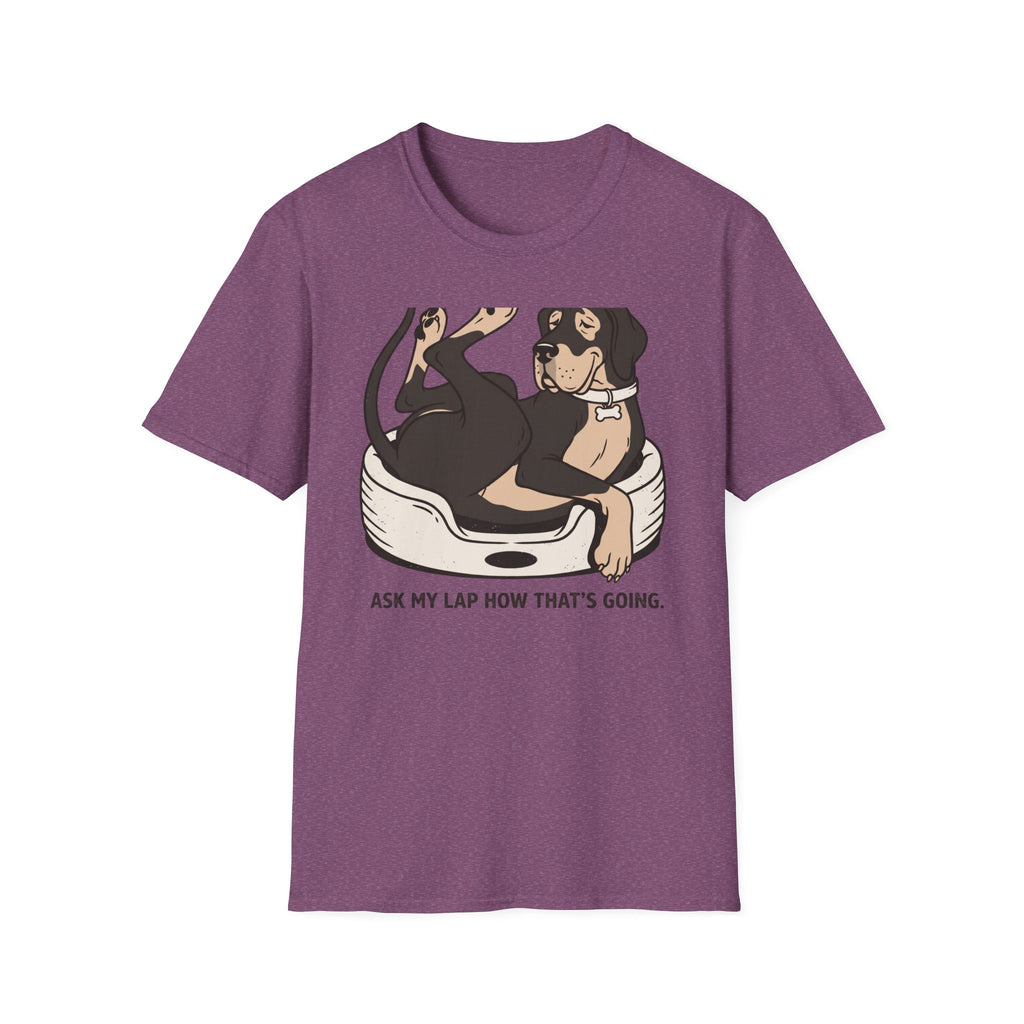I'm A Lap Dog (Technically)