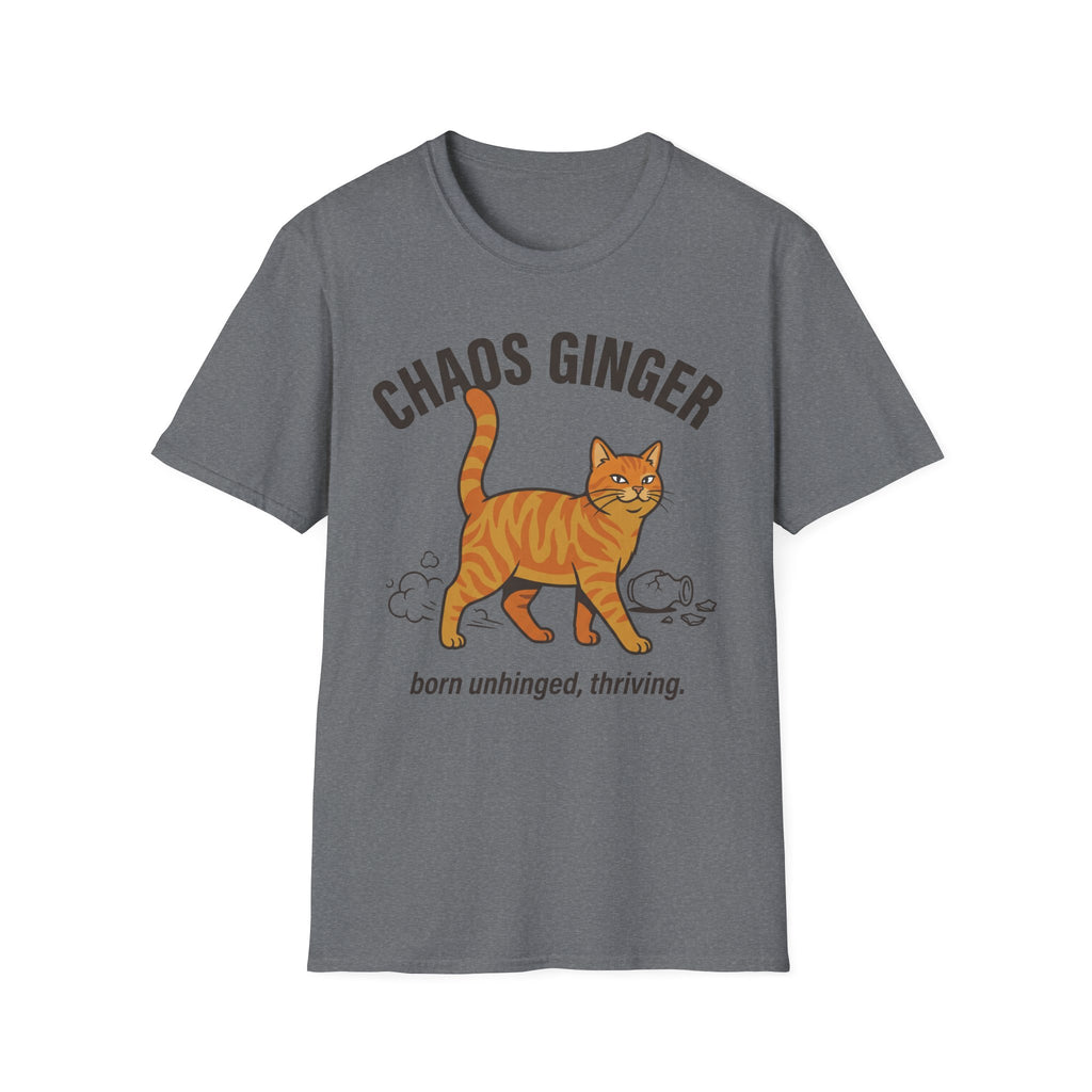 Orange Tabby - Chaos Ginger