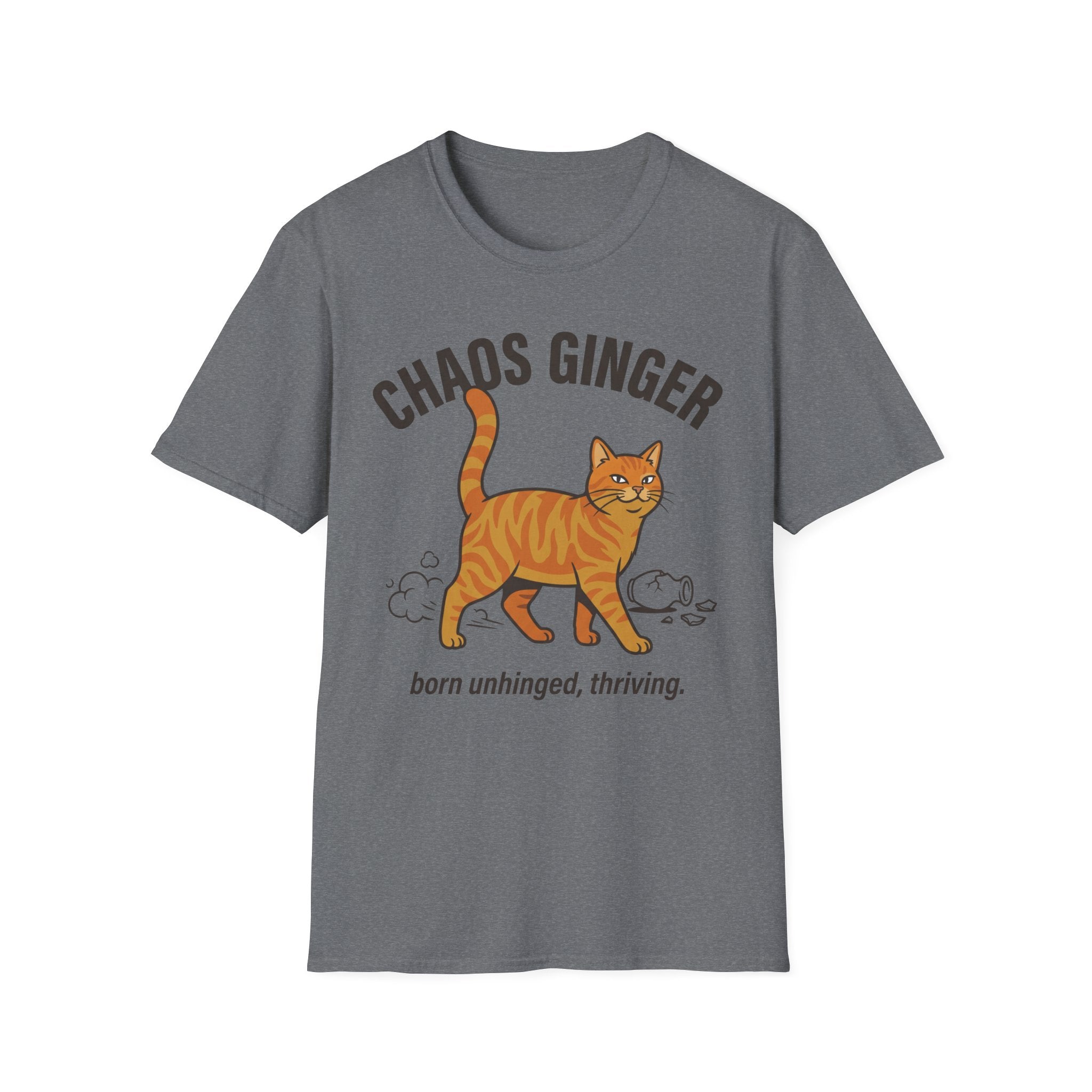 Orange Tabby - Chaos Ginger