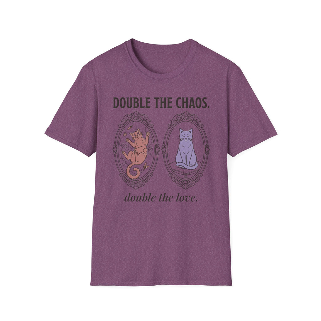 Two Cats - Double the Chaos, Double the Love