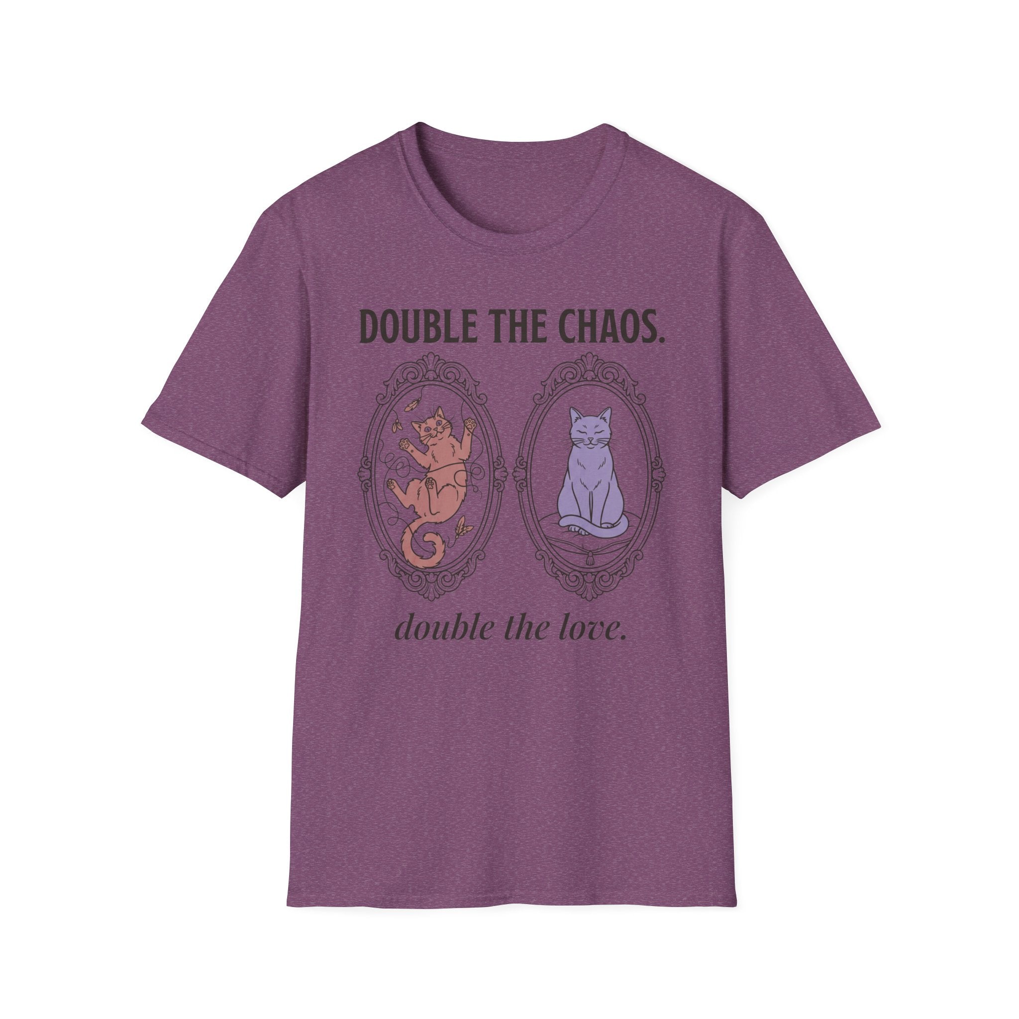 Two Cats - Double the Chaos, Double the Love