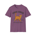 Orange Tabby - Chaos Ginger