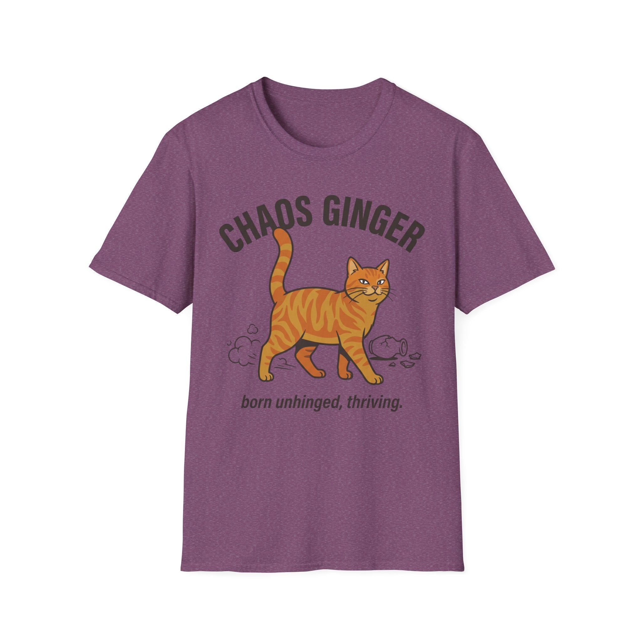 Orange Tabby - Chaos Ginger