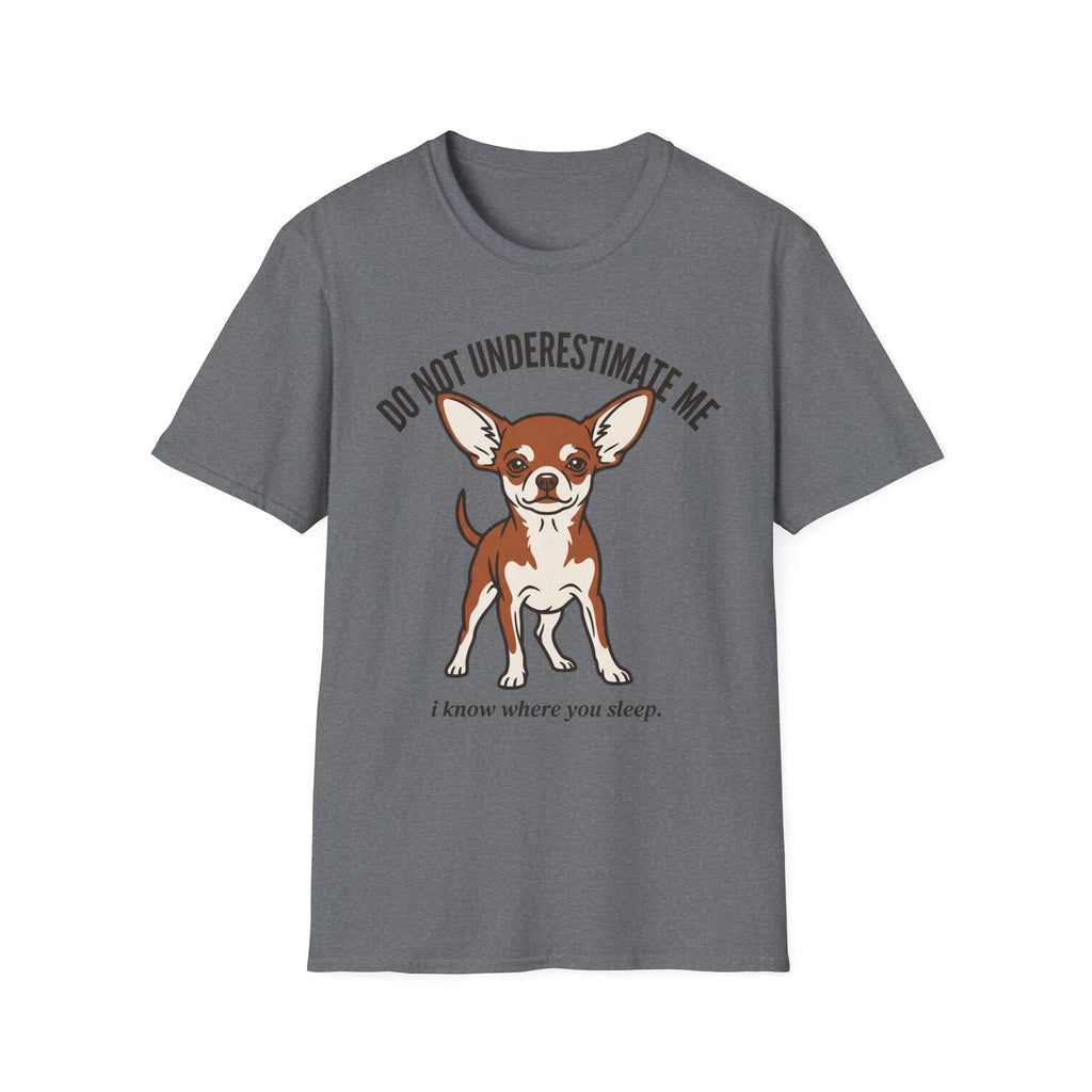 Chihuahua - Do Not Underestimate Me