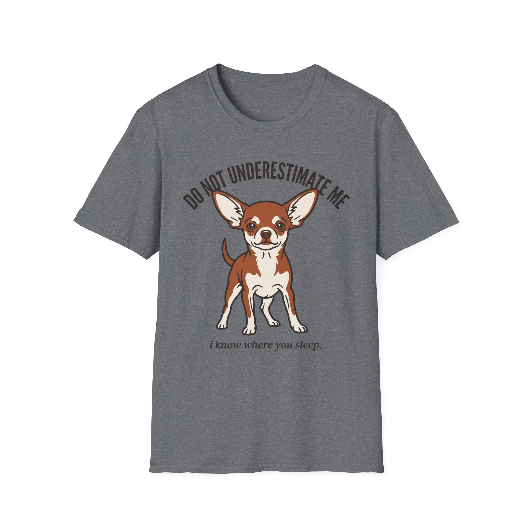 Chihuahua - Do Not Underestimate Me
