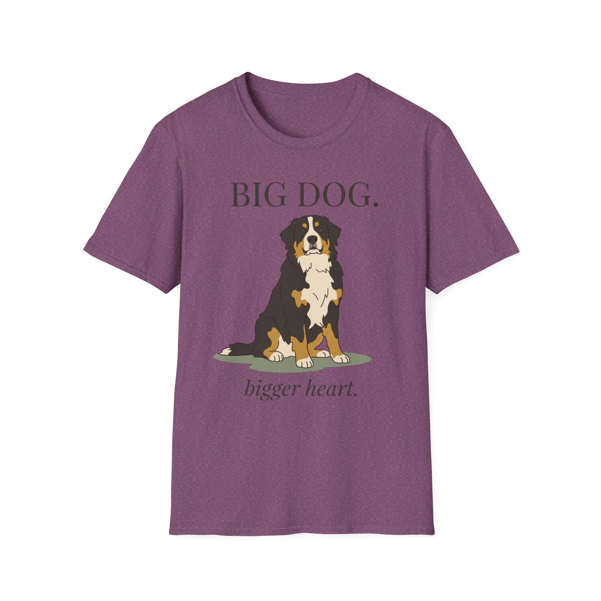 Bernese Mountain Dog - Big Dog, Bigger Heart